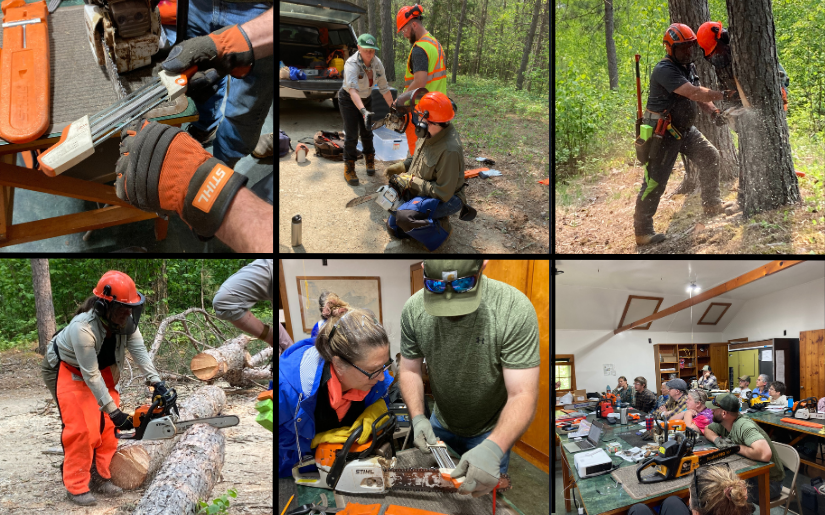 Chainsaw Safety Workshop Recap
